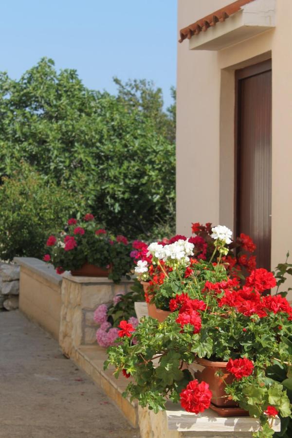 Apartments By The Sea Veli Rat, Dugi Otok - 436 Εξωτερικό φωτογραφία